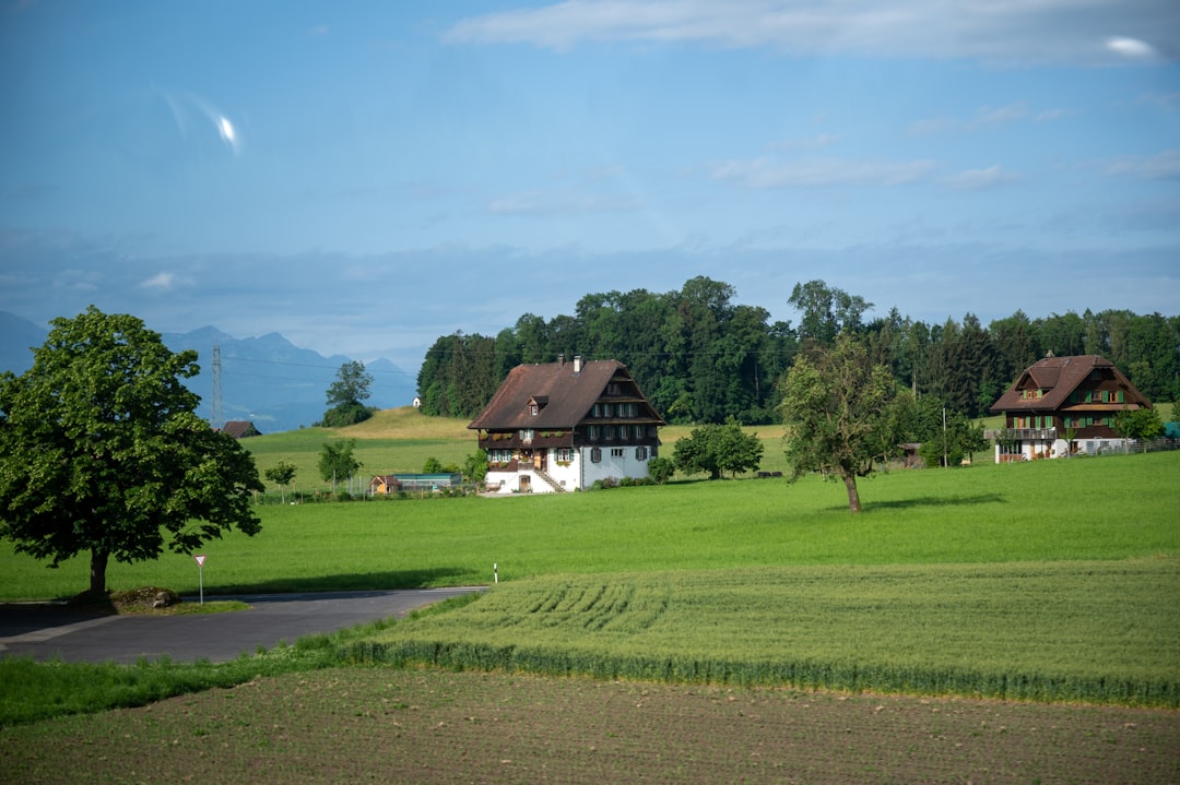 a house in a field