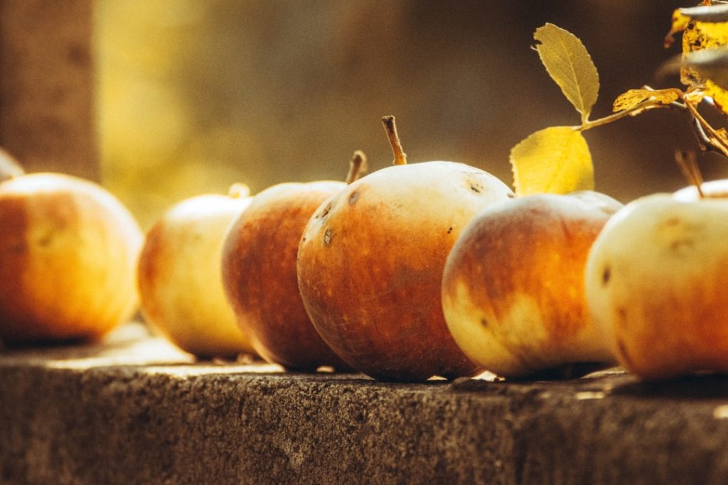 red and yellow apple fruit on gray concrete surface